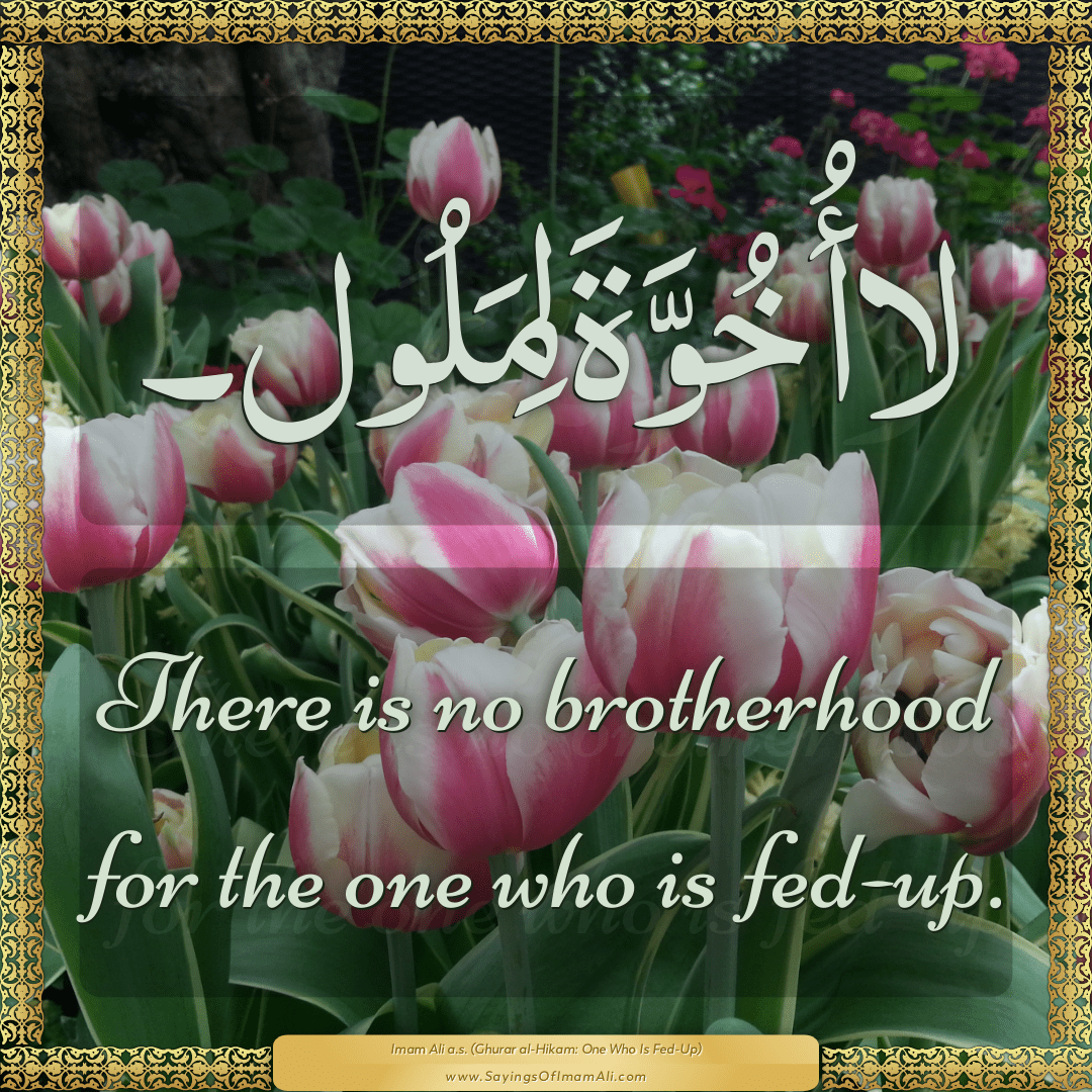 There is no brotherhood for the one who is fed-up.